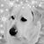 Shelby Renae's profile image