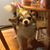 Betty Watson's profile image
