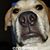 Michael Sweeney's profile image