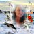 Gail Turner Stevenson Author's profile image