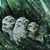 Jody Staisil's profile image