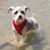 Robin VanKleef-Kelley's profile image