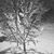 Gretchen Garinger's profile image