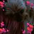 Joanie Olson's profile image