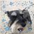 Gloria Boyd's profile image