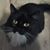Linda Shiflett Truslow's profile image