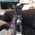 Julie Rumage Fiedler's profile image