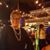 Diana Ferrucci's profile image