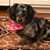Katherine Spahn Kelly's profile image