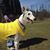 Debbie Grega's profile image