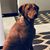 Stella-Lily Franks's profile image