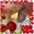 Stephen Wilkinson's profile image