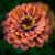 Melanie Hennick's profile image
