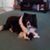 Lori Winstead's profile image