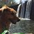 Nicholas Samuelson's profile image
