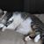 Donald Wisk's profile image