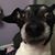 Torie Cooper's profile image