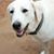 Cathy Goorman DePorter's profile image