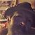 Tad J Sandrowski's profile image