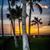 John Rich's profile image