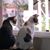 Joan R Cook's profile image