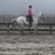 Ashley Meeder's profile image