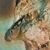 Constance M Knepp-Holt's profile image