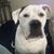 Shannon Talbot Fawaz's profile image
