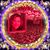 Amy M Edwards's profile image