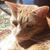 Tracy Aviles's profile image