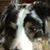 Debbie Gerringer Little's profile image