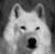Kelly Schoff's profile image