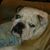 Jim Tripp's profile image