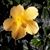 Candi Brown's profile image