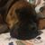 Erin Brownlow Stewart's profile image