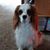 June Sinicki's profile image
