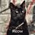 Mary Warunek's profile image