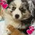 Lori Martin's profile image