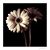 Linda Lock's profile image