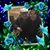 Javier Casas's profile image