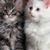 Liz Jones's profile image