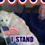 David Whitfield's profile image