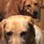 Marcia Clayborn's profile image