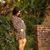 Lauren McCallum's profile image