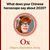 Lori Ann Allen's profile image