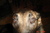 Lee J.'s profile image