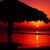 Kelly Woodall Pickering's profile image
