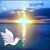 Lorraine Lindenberg's profile image