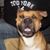 Kyle Shafer's profile image