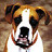 Bob's profile image